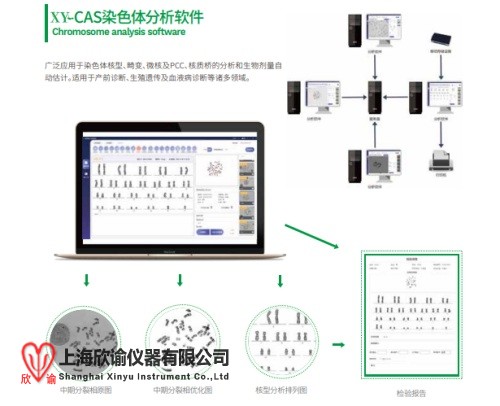 染色体分析系统.jpg