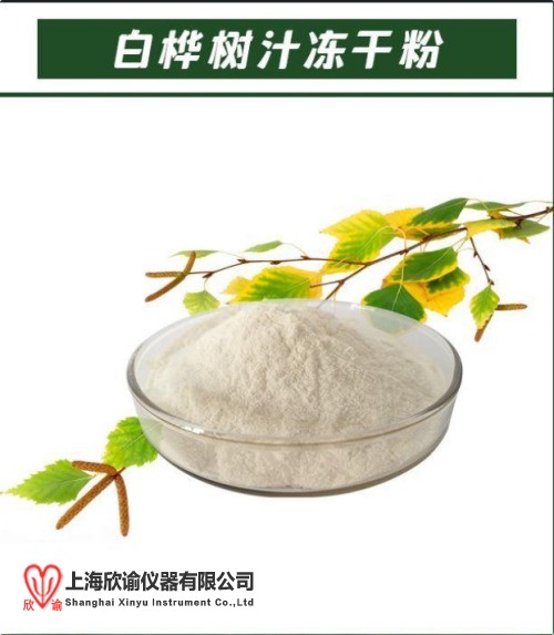 白桦树汁冻干粉.jpg